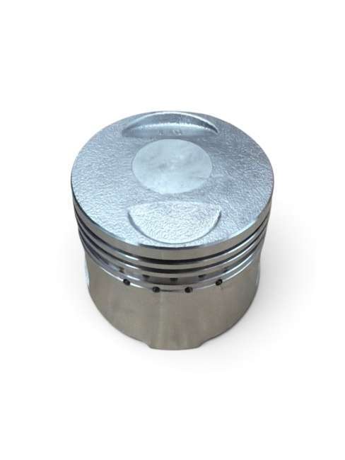 Поршень Ø 39 1P56FMJ